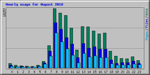 Hourly usage for August 2018